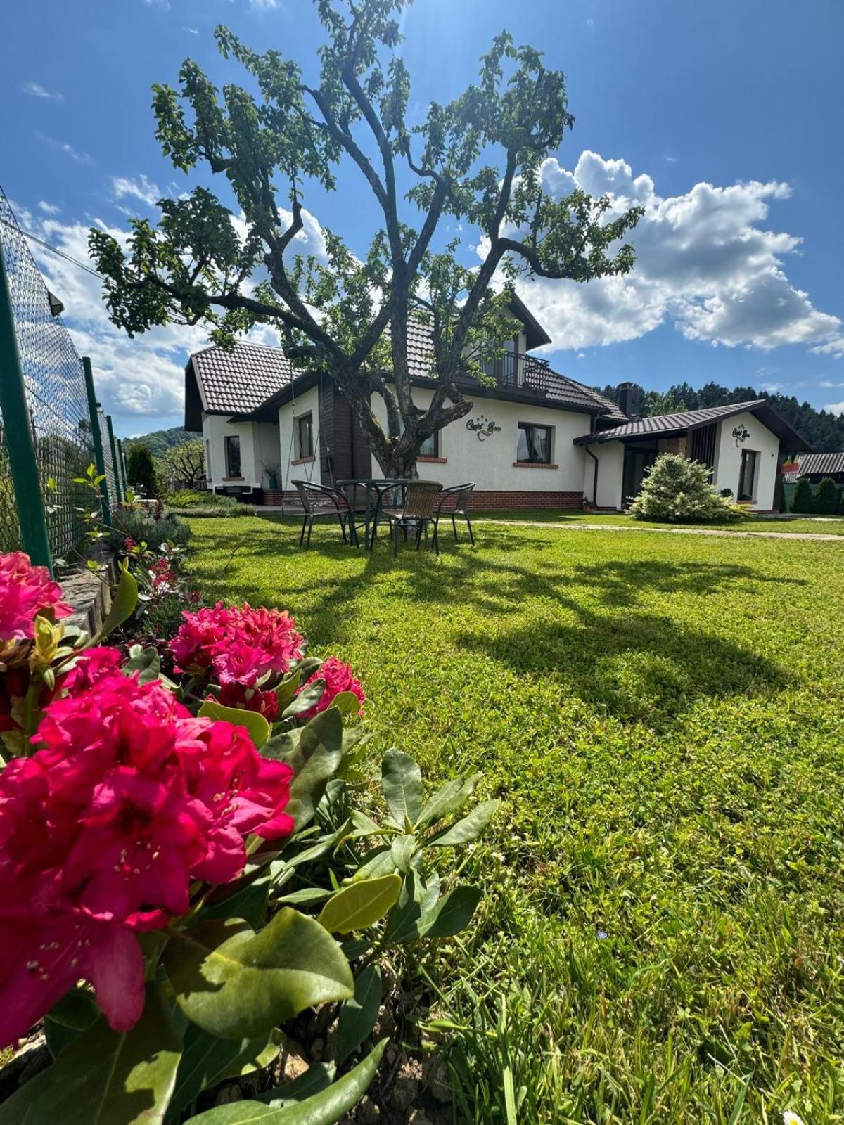 Chalet Bora ビシェウ・デ・ジョス エクステリア 写真
